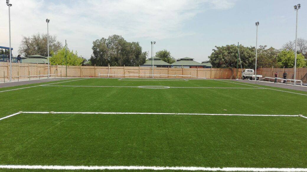 Canchas de Pasto Sintético